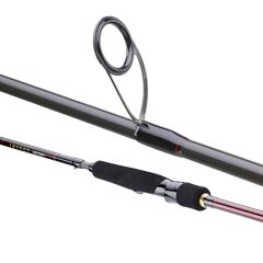 DAIWA INFEET SEABASS 2.44M, 14-42GR 2P KAMIŞ