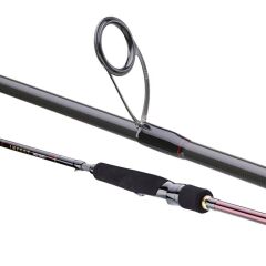 DAIWA INFEET SEABASS 2.74M, 7-28GR, 2P KAMIŞ